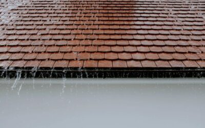 Roof Condition – Buying a Home