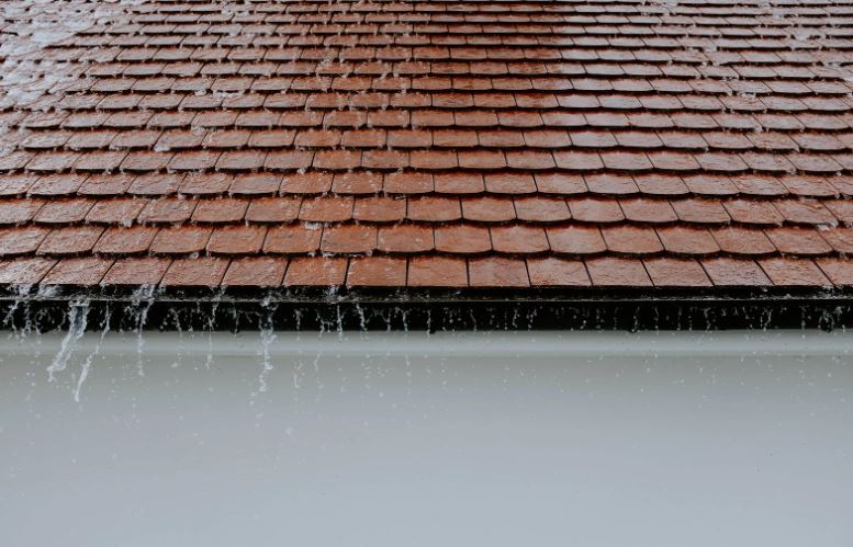 Roof Condition – Buying a Home